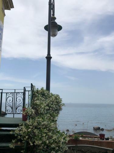 Hostel Beach House