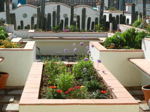 Apartamentos Casa Caramba