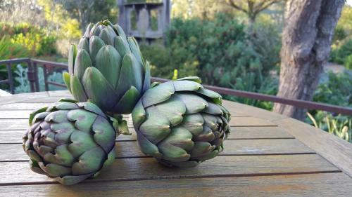 Harvest Birregurra Bed & Breakfast