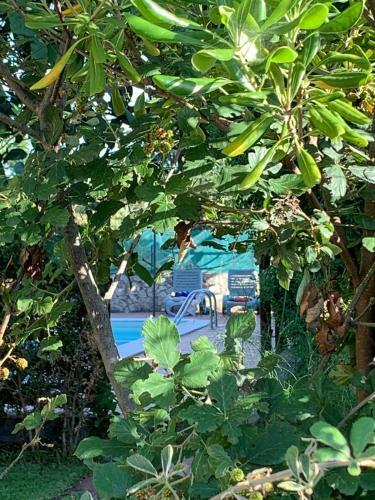 Bed & Breakfast A Due Passi Da