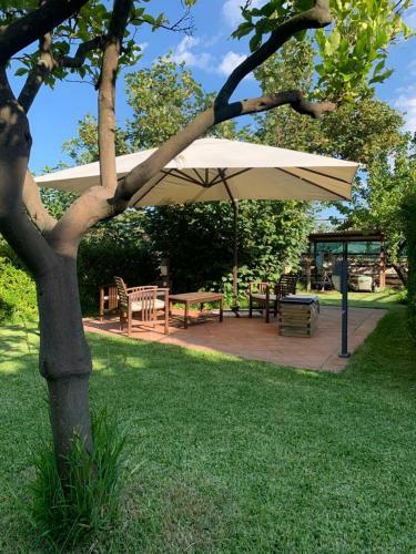 Bed & Breakfast A Due Passi Da