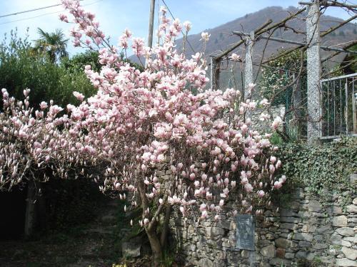B&B Casale