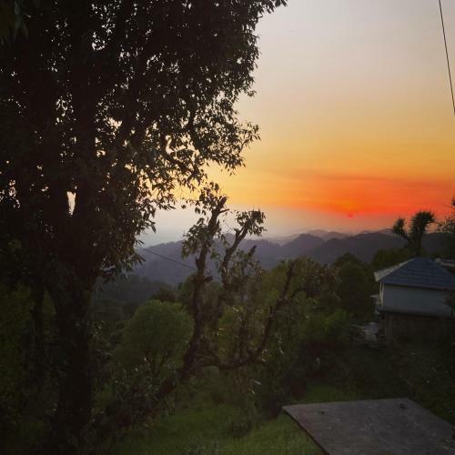 Sunny, S Home Stay