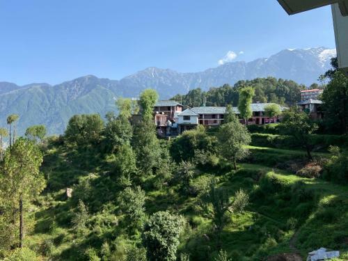 Sunny, S Home Stay