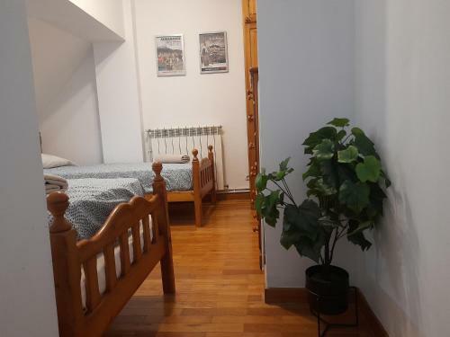 Apartamento Aticociudadela