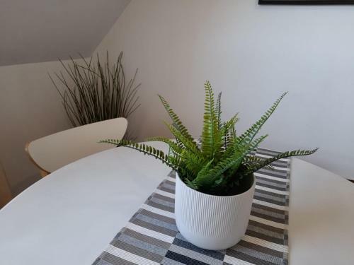 Apartamento Aticociudadela
