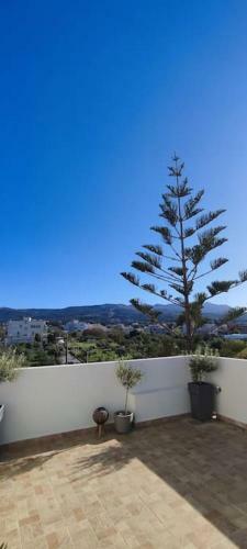 Dina's Apartment In Kos