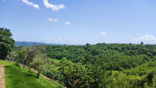 Hostal A 2 Passi Dal Lago - Guest House E B&B