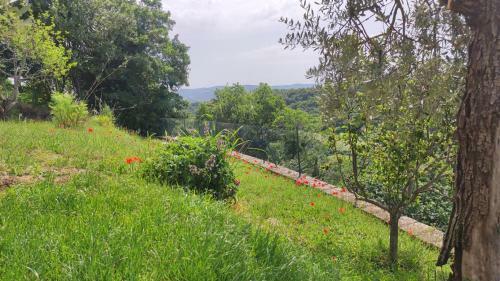 Hostal A 2 Passi Dal Lago - Guest House E B&B