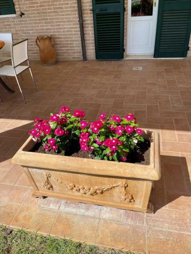 Apartamento La Posta Di Bacco