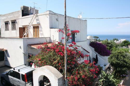 La Viola Apartment