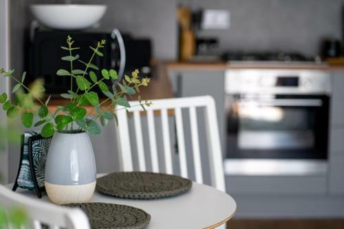 Apartament Willa Lniana
