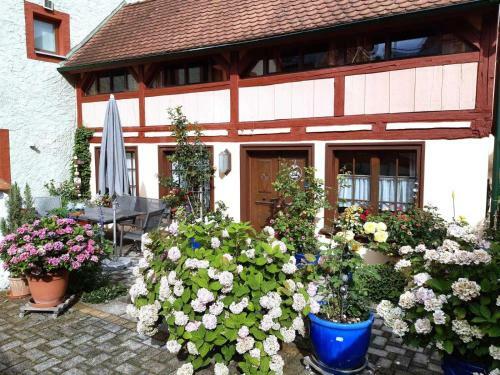 Apartamento Ferienh�uschen Rosi Brehm