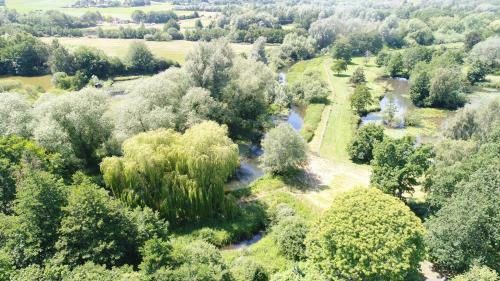 Great Witchingham Meadows
