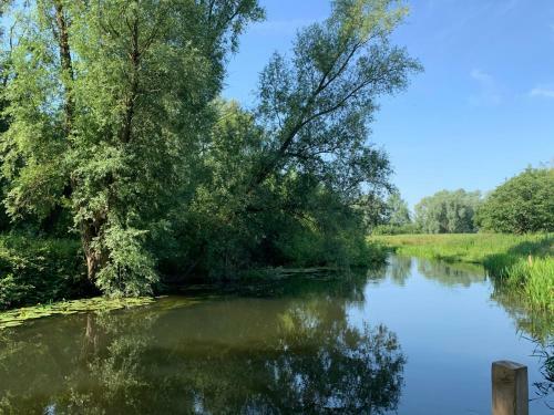Great Witchingham Meadows