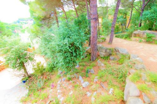 V&v Lloret-villa Petonet