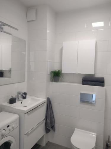 Apartament Przy Lesie