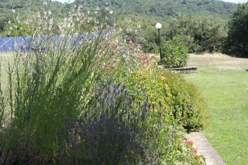 Agroturismo Agridomus Il Mulino
