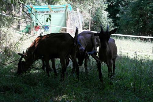 Agroturismo Agridomus Il Mulino