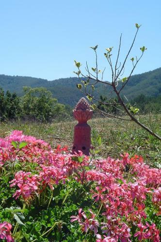 Agroturismo Agridomus Il Mulino