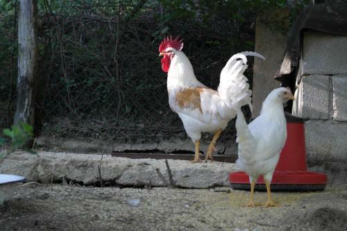 Agroturismo Agridomus Il Mulino