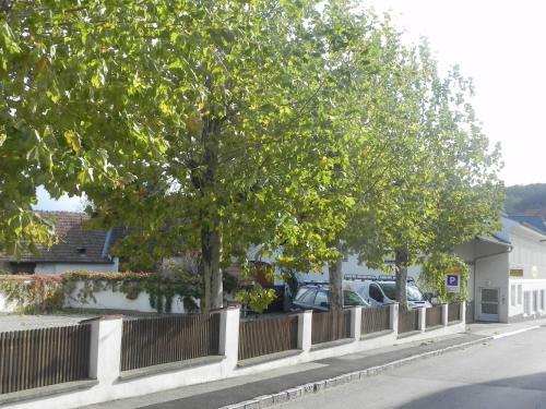 Apartamento Appartement Pauker