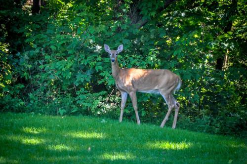 Bed & Breakfast A La Villa Rivermead