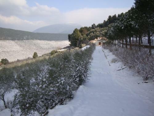 Agroturismo Agriturismo Istrice Innamorato