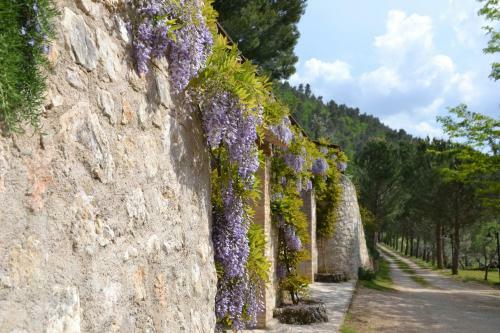 Agroturismo Agriturismo Istrice Innamorato