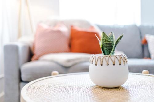 Rest&recharge @ Windsor House (2 Bedrooms, 4 Beds, Free Parking)