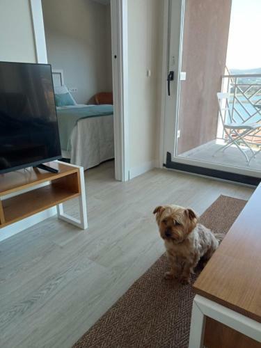 Apartamentos Costa San Esteban