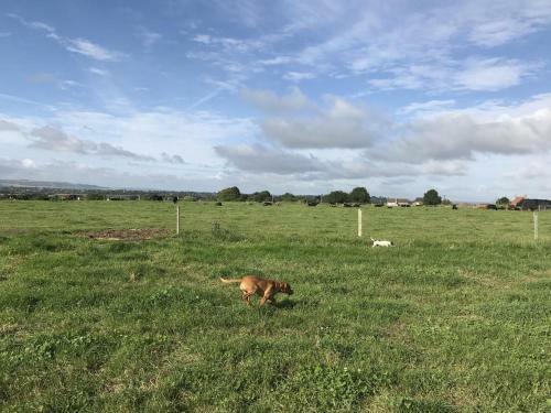 Apartamento Rew Farm Country And Equestrian Accommodation - Sunset Lodge