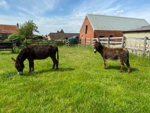 Apartamento Rew Farm Country And Equestrian Accommodation - Sunset Lodge
