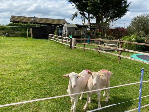 Apartamento Rew Farm Country And Equestrian Accommodation - Sunset Lodge