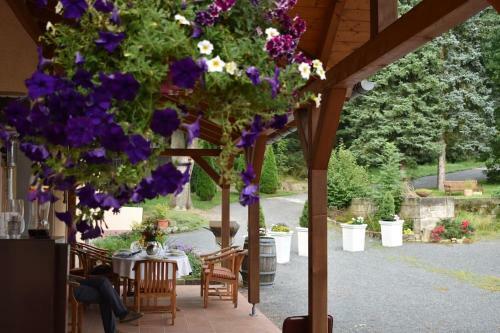 Apartamento Steffis - Hof