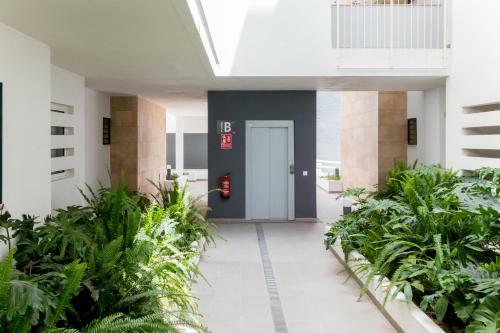 The Best Apartament