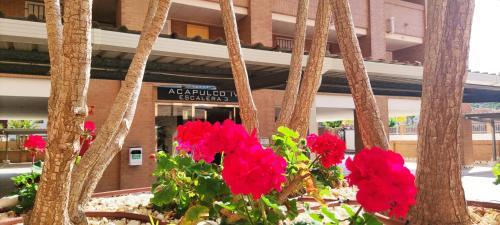Apartamento Acv - Acapulco Iv-1� Linea Planta 1 Sur-2