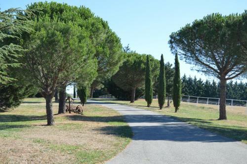 Les Moineaux Du Domaine Du Moulin