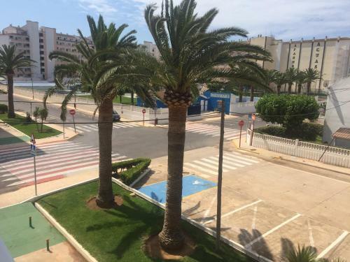 Apartamento Estudio Pe�ismar M-a Fincas Van Camp