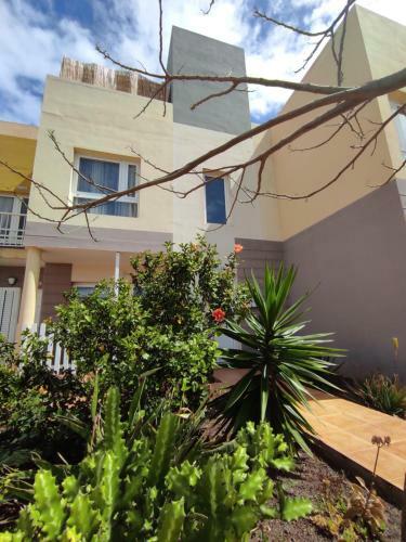 Apartamento Con Azotea Privada #thefunnycactus