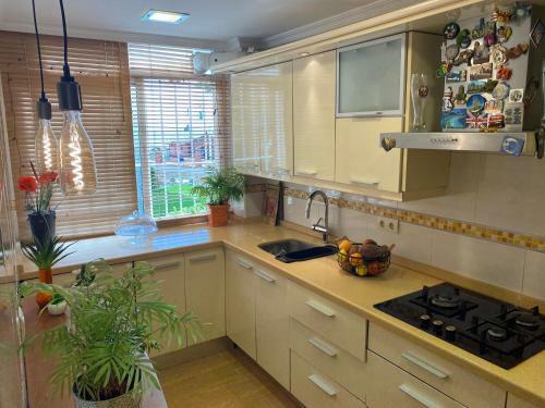 Apartamentos Lolita Rincon