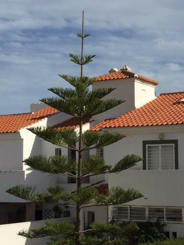 Apartamento Mar Y Golf