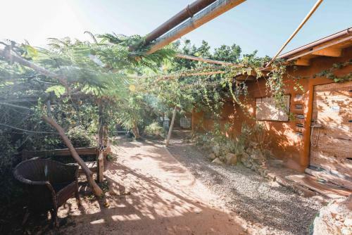 Luxury Wild Jungle Eco Villa Next To Cotillo