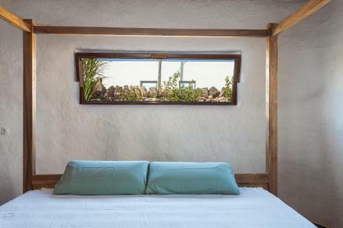 Luxury Wild Jungle Eco Villa Next To Cotillo