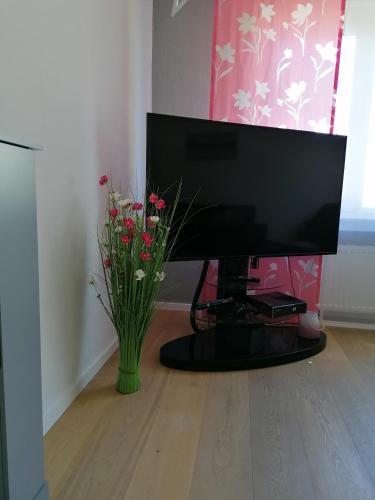 Apartamento Dohlennest