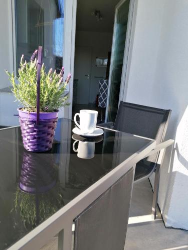 Apartamento Dohlennest