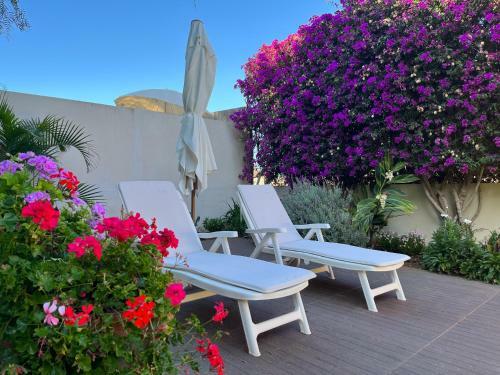 Apartamento Dream Garden