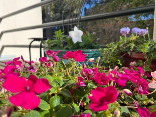 Apartamento Dream Garden