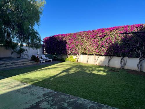 Apartamento Dream Garden