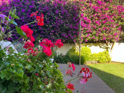 Apartamento Dream Garden